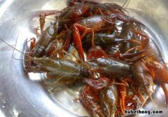 小龙虾清洗方法是什么