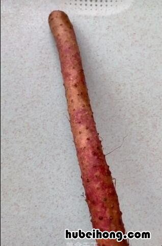 不用发面的山药饼怎么做? 不用发面的山药饼子怎么做