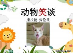 《动物笑谈》教学反思与评价 动物笑谈教学思路