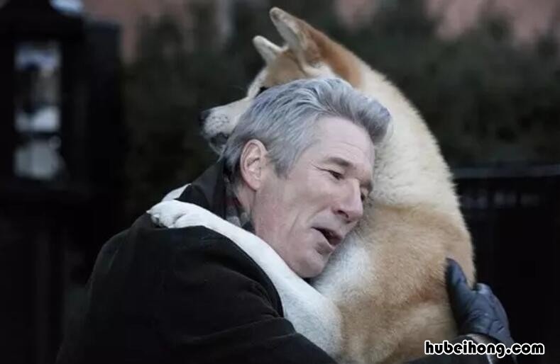 经典感人电影排行榜前十名有哪些 经典感人电影排行榜前十名中国