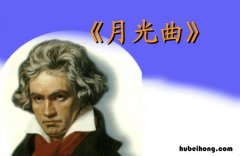 月光曲这一课的主要内容 月光曲的课文主要内容