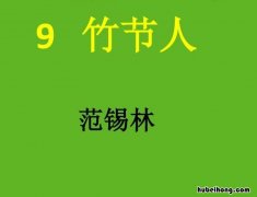 《竹节人》教学实录 竹节人教学过程及点评