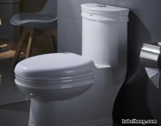 入墙式马桶的优点有哪些