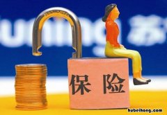 保险保单怎么查询九江庐山市100元一年方案 保险保单怎么查是那个公司得