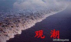 观潮作者个人资料及简介 观潮的作者是谁简介是什么