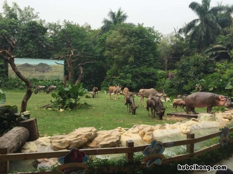 最适合孩子旅游的地方 最适合小孩旅游的地方