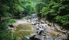醉山野门票多少钱一张 醉山野门票多少钱玻璃桥多少钱