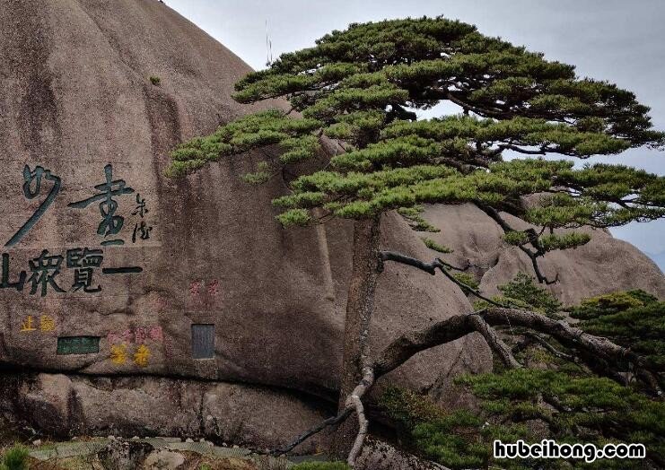 7月游黄山要注意的事项 去黄山旅游注意事项