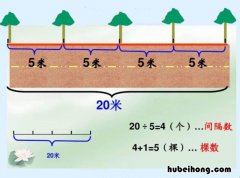 小学五年级数学怎么学