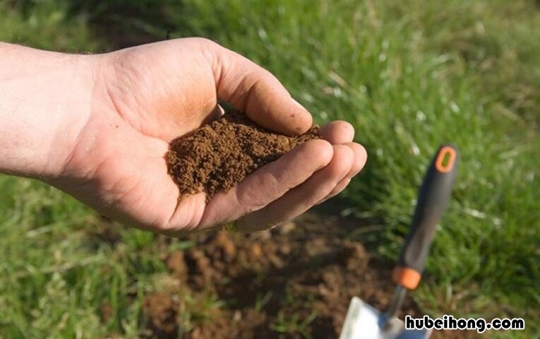 土壤的有机质有哪些作用与功能 土壤中的有机质有什么作用