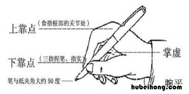 握笔的正确姿势是什么样的 握笔的正确方法图片视频