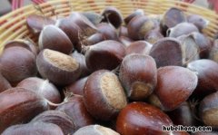 板栗怎样保鲜不坏 板栗怎么保存不烂