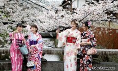日本樱花季是什么时候 日本樱花季是什么时候开的