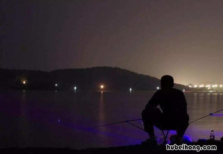 夏季野钓夜钓技巧 夏季夜钓注意什么