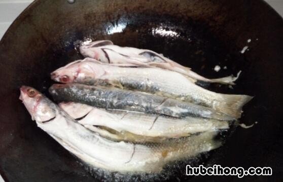 梭鱼可以炖豆腐吗 梭鱼炖豆腐汤的做法