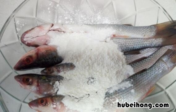 梭鱼可以炖豆腐吗 梭鱼炖豆腐汤的做法
