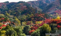 义马市有什么景点好玩 义马市有什么景点可以玩