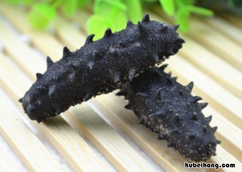 海八珍都包括哪些 海八珍分别是什么