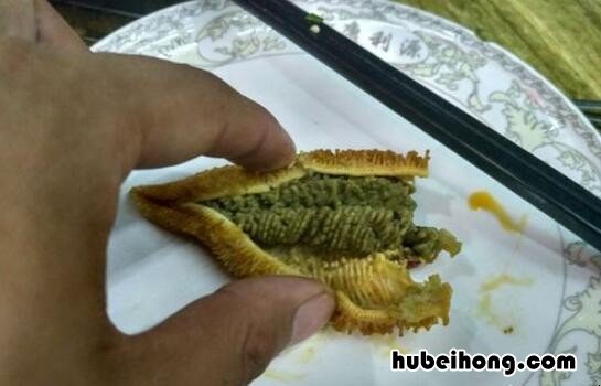 海星怎么吃贝壳 干的海星怎么吃