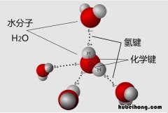 什么是化学键合固定相?它的突出优点是什么? 什么是化学键的极性