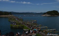 千岛湖一日游最佳攻略 阳澄湖大闸蟹
