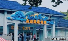 门票+地址+怎么走 南京海底世界游玩攻略 南京海底世界具体位置