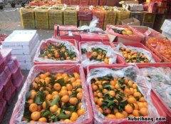 去批发水果有什么技巧 如何在批发市场批发水果