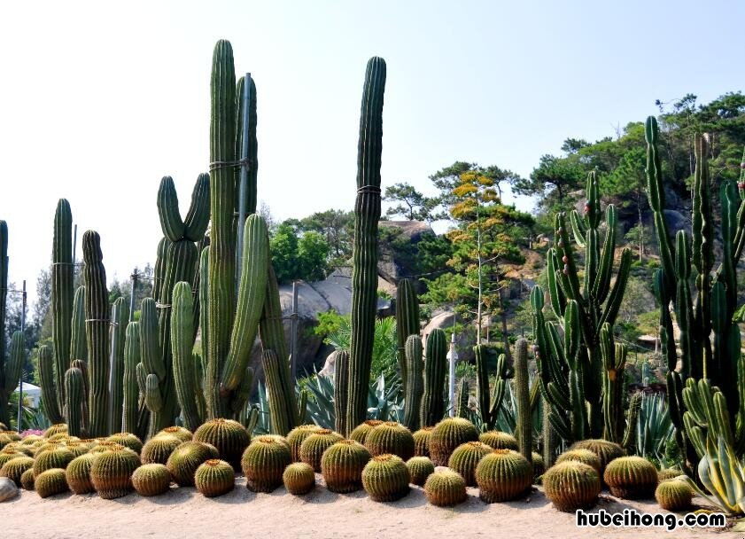 厦门市万石植物园好玩吗 厦门万石植物园哪个入口比较好