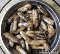 炒蛏子家常做法最简单做法 炒蛏子怎么炒好吃