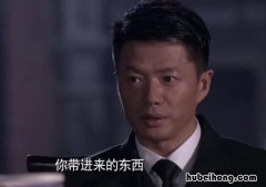 《海上孟府》剧情简介是什么样的 《海上孟府》剧情简介是什么时候拍的
