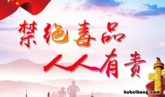 学校禁毒教育宣传 学校禁毒宣传片