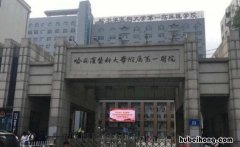 哈医大一院院址 哈医大一院分布图