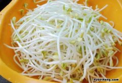 怎么发豆芽简单做法 制作发豆芽的方法