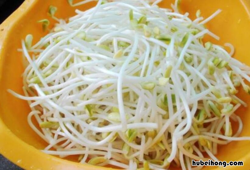 怎么发豆芽简单做法 制作发豆芽的方法