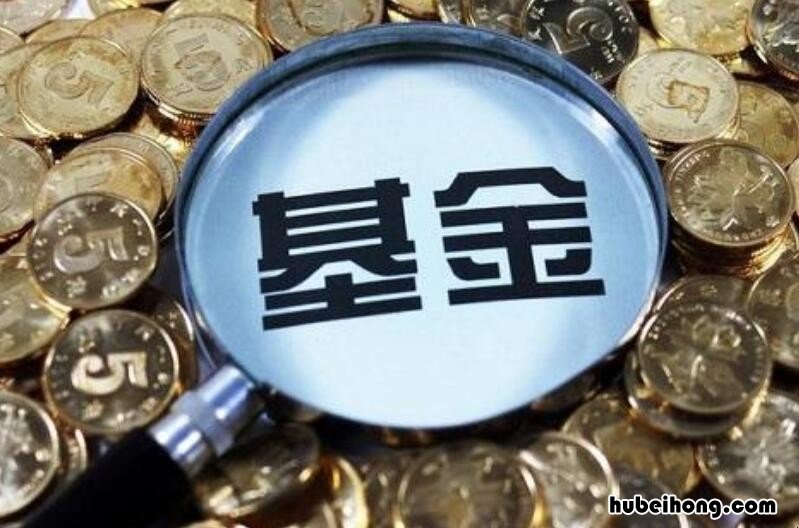 基金怎么投? 投资者如何投资基金