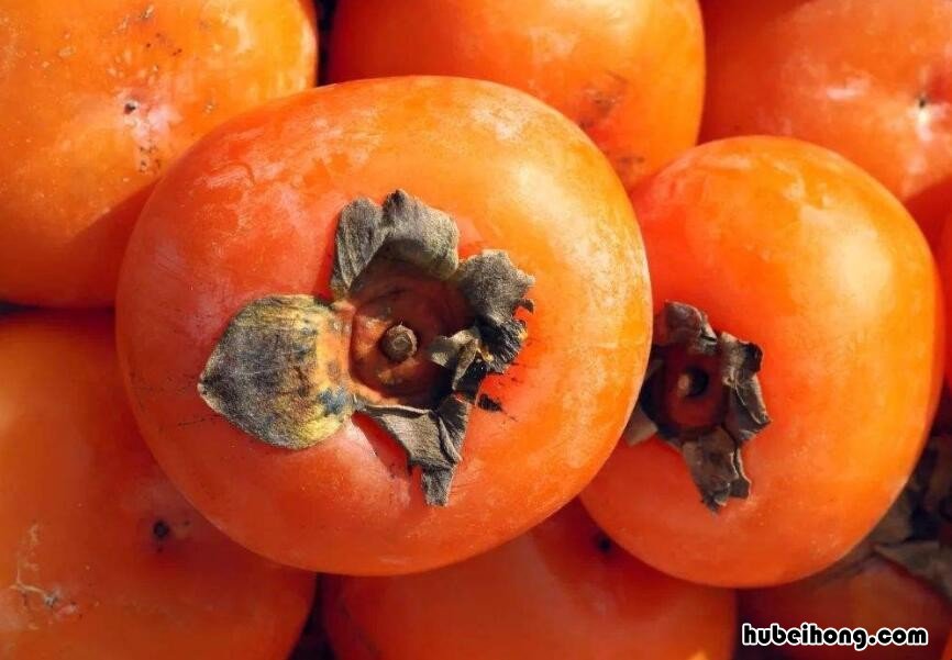 柿子吃了涩嘴怎么办 吃柿子后嘴涩怎么办