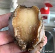 烤鲍鱼怎么烤 鲍鱼如何烤