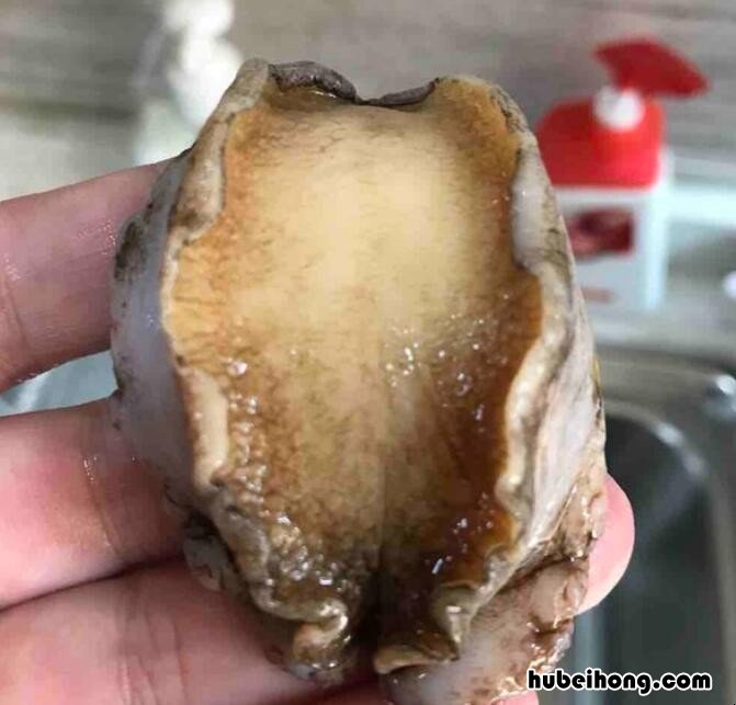 烤鲍鱼怎么烤 鲍鱼如何烤