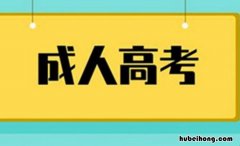 成人教育可以报考什么 成人高考可以考的大学