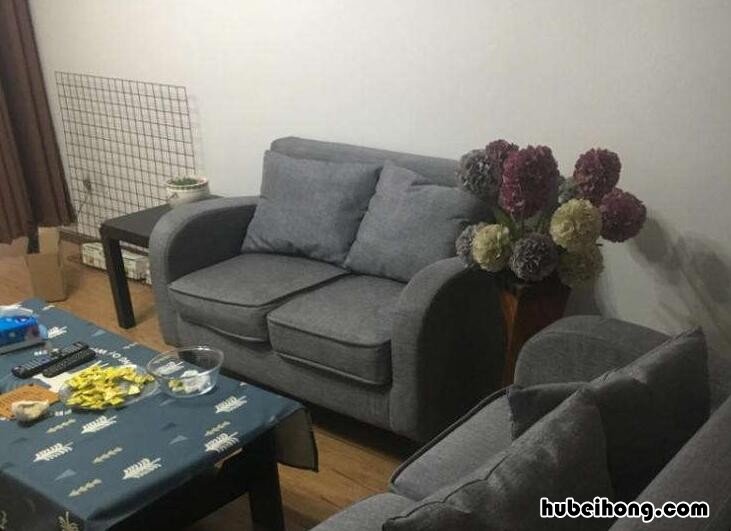 单人布艺沙发 布艺双人沙发床图片大全
