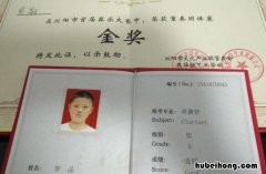 普通高中学籍号怎么查询系统 普通高中学籍号怎么查询不到