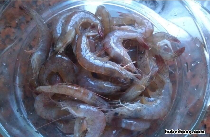 水煮基围虾 基围虾怎么清蒸