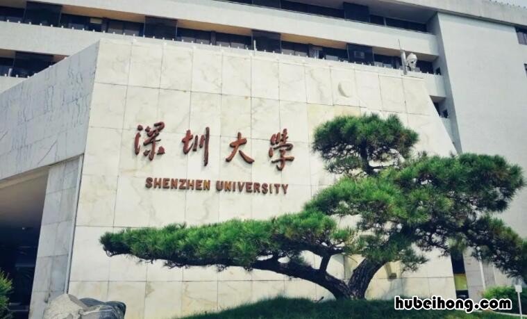 深圳大学的哪个专业最出色 深圳大学最热门的专业