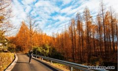 山王坪国际旅游度假区在哪里 山王坪旅游度假区项目