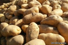 土豆冬天怎么储存好 土豆冬天怎么储存方法
