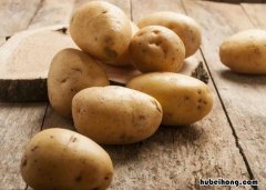 土豆怎么存放不会发芽? 土豆怎么存放不会发芽发黑