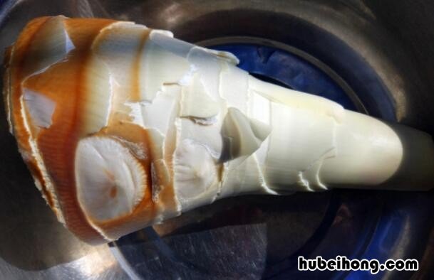 新鲜竹笋可以炖排骨吗 新鲜竹笋怎么炖排骨
