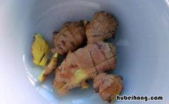 新鲜竹笋可以炖排骨吗 新鲜竹笋怎么炖排骨