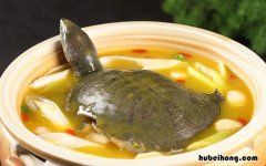 甲鱼怎么炖不会腥 甲鱼怎么炖不会腥味