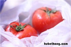 番茄如何保存时间长 番茄保存多久